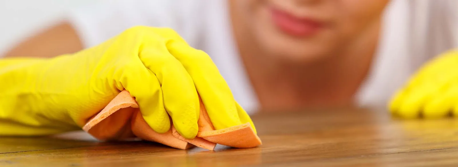 Cleaning Services